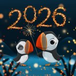 Neujahrskarte Papageientaucher Feuerwerk 2