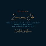 Neujahrskarte Papageientaucher Feuerwerk 3