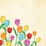 Osterkarte bunte Tulpen 2