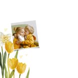 Osterkarte Fotos, Tulpen und Narzissen 2