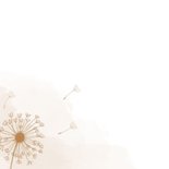 Trauerkarte Einladung Pusteblume beige Aquarell 2