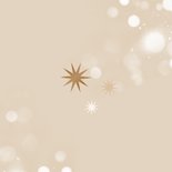 Weihnachtskarte Fotocollage 2026 mit Sternen Rückseite