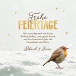 Weihnachtskarte Rotkehlchen im Schnee mit Foto 3