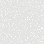 Weihnachtskarte Rotkehlchen im Schnee Rückseite
