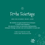 Weihnachtskarte Tierklinik 'Frohe Feiertage' Haustiere 3