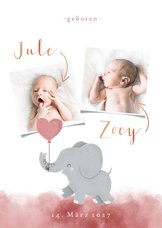 Geburts-Danksagung Zwilling Fotos & rosa Elefant