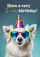 Geburtstagskarte 'Funky Birthday' Hund mit Sonnenbrille
