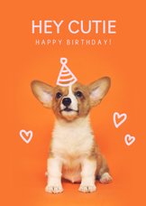 Geburtstagskarte Hund mit Partyhut