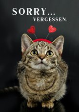 Grußkarte Valentinstag Katze 'Sorry, vergessen'