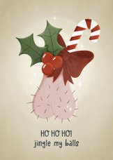 Humorvolle Weihnachtskarte 'jingle my balls'