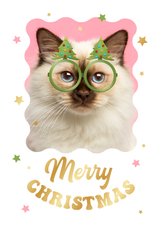 Lustige Weihnachtskarte Haustier mit Brille