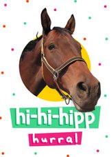 Pferde-Geburtstagskarte 'Hi-hi-hipp hurra' 