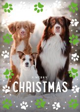 Weihnachtsgrüße mit großem Foto und Hundepfoten