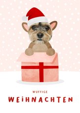 Weihnachtskarte Haustier in Geschenk