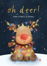 Weihnachtskarte 'Oh deer' Rentier bunte Lichterkette
