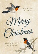 Weihnachtskarte Singvögel im Winter