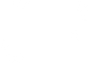 Foto-Geburtskarte Ginkgoblätter gold Rückseite