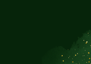 Geschenkgutschein Tannenzweige Schleife Weihnachten Rückseite