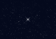 Weihnachtskarte Eisbär im Schnee Foto Sterne Nachthimmel Rückseite