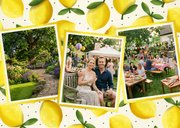 Einladungskarte Foto Zitronen Gartenfest Sommer 2