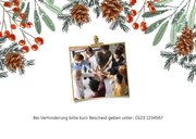 Einladungskarte zur Weihnachtsfeier botanisch 2