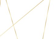 Fotokarte Einladung Kommunion goldene Linien Rückseite