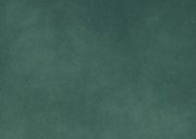 Fotokarte Ilexzweige Weihnachten botanisch Rückseite