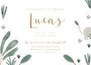 Geburtskarte kleiner Bruder Elefanten Foto innen 3