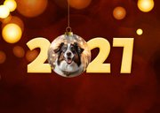 Neujahrskarte 'Happy new year 2027' mit Foto 2