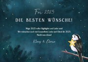 Neujahrskarte Sternefotos & Vögel 3