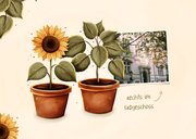 Umzugskarte Sonnenblumen Topfpflanze Foto 2