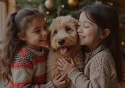 Weihnachtliche Fotokarte Goldschrift 2027 Weihnachtsgrüße 2