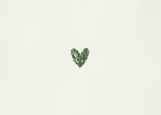 Weihnachtliche Umzugskarte Tannenzweige 'Happy New Home'  Rückseite