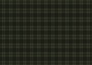 Weihnachts-Fotocollage-Karte Tartan Karo dunkelgrün 2