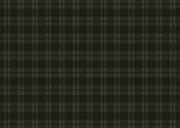 Weihnachts-Fotocollage-Karte Tartan Karo dunkelgrün 2