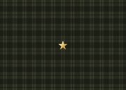 Weihnachts-Fotocollage-Karte Tartan Karo dunkelgrün Rückseite