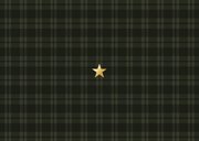 Weihnachts-Fotocollage-Karte Tartan Karo dunkelgrün Rückseite