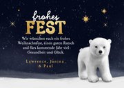Weihnachtskarte Eisbär im Schnee Foto Sterne Nachthimmel 3