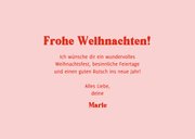Weihnachtskarte mit Spruch 'All the jingle ladies'  3