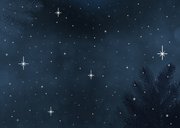 Weihnachtskarte Weihnachtsdackel Geschenke im Schnee Rückseite