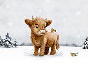 Weihnachtskarte Winterlandschaft Hochlandrind Kälbchen 2