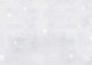 Weihnachtskarte Winterlandschaft Hochlandrind Kälbchen Rückseite