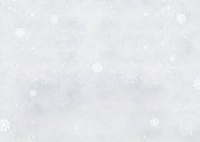 Weihnachtskarte Winterlandschaft Hochlandrind Kälbchen Rückseite