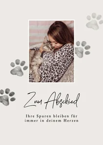 Beileidskarte Katze Foto Pfotenabdrücke grau