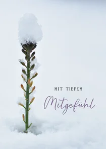 Beileidskarte Pflanze im Schnee Natur Winter