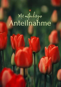 Beileidskarte rote Tulpen Blumenfotografie Anteilnahme