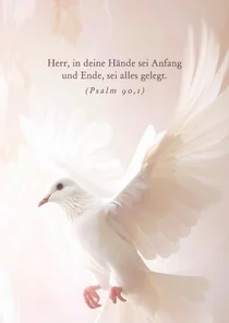 Beileidskarte weiße Taube christlich 