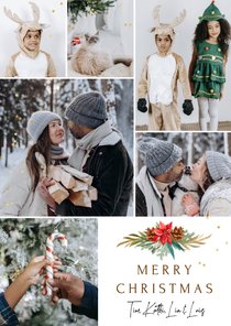 Fotocollage Weihnachtskarte Blumengesteck Weihnachtsstern