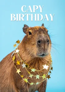 Geburtstagskarte Capybara Sternchenkette blau