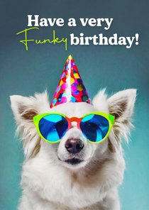 Geburtstagskarte 'Funky Birthday' Hund mit Sonnenbrille